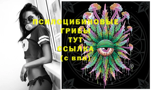 гашиш Ельня