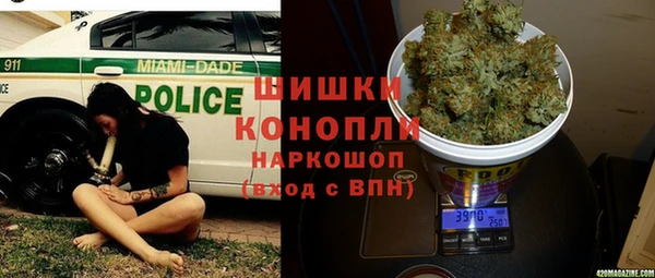 прущие крисы Гусиноозёрск