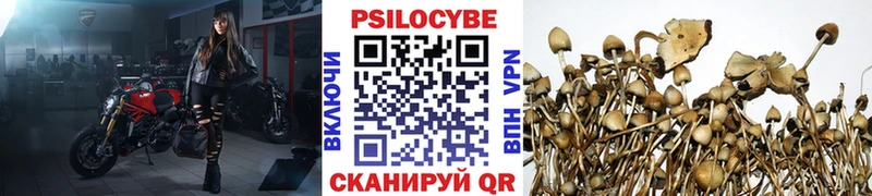 Псилоцибиновые грибы мухоморы  Купить  Михайловка 